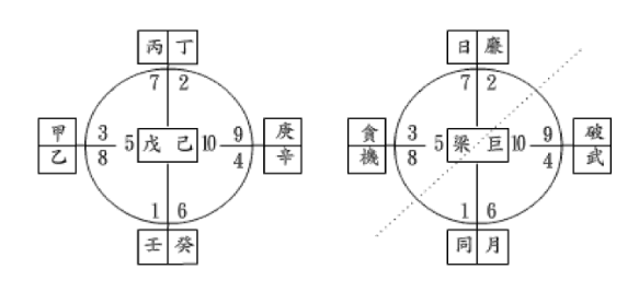 男女星